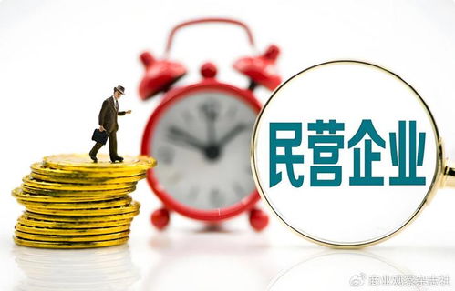 當(dāng)民營(yíng)企業(yè)遇見世界500強(qiáng) 以企業(yè)自有資金共繪“投資中國(guó)，共贏未來(lái)”新藍(lán)圖